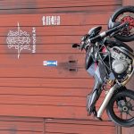 20231104_122447 20231104_122447