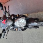 20231104_122515 20231104_122515